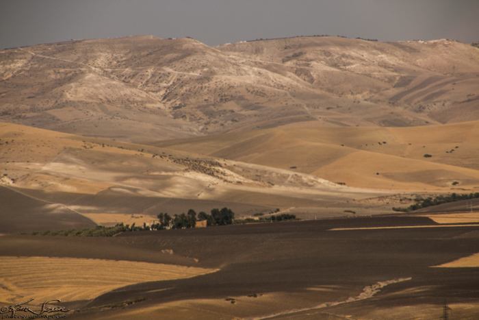 Morocco 9-12-14, Overland to Fez, Volubilis: On the road to Fez (Fes, some places)