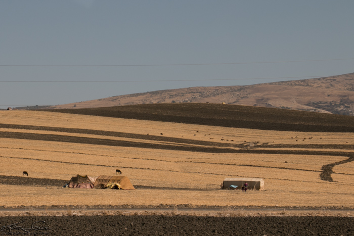Morocco 9-12-14, Overland to Fez, Volubilis: On the road to Fez (Fes, some places)