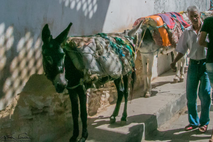 Fez, Morocco 10-13-2014: In addition to crowds of people, there are burros, bicycles, and motorbikes in the aisles.  The 