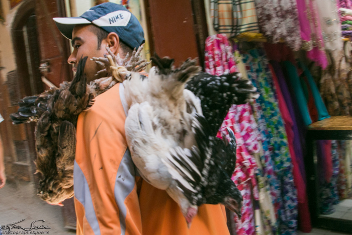 Fez, Morocco 10-13-2014: Delivering a couple of birds.