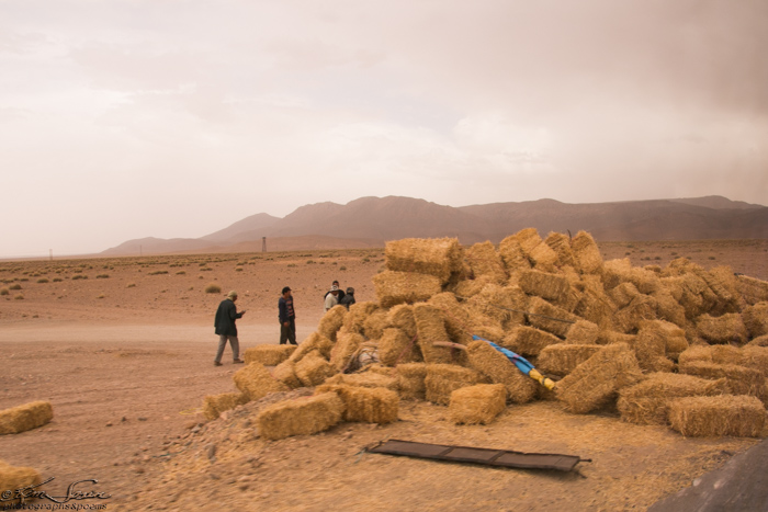 Drive to Erfoud, Morocco 9-14-14: Trucks with impossible stacks of hay bales were on the road.  Here is the only (perhaps disaster) pileup of hay we saw.