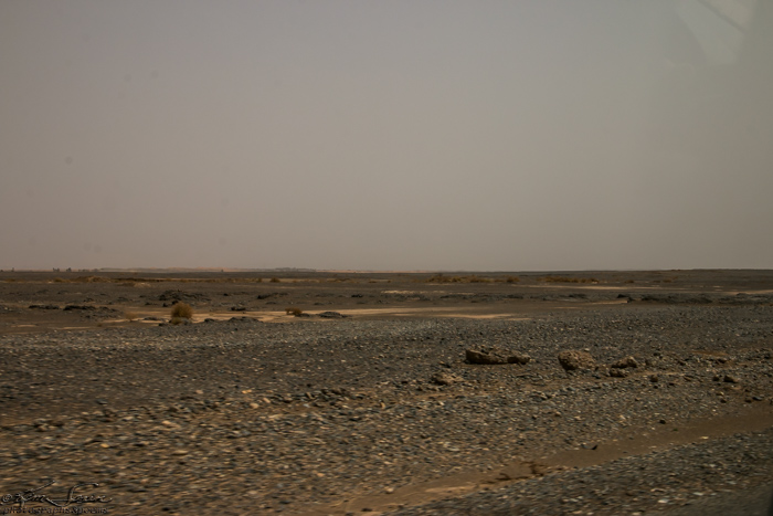 Merzouga to Sahara Camp, Morocco 9-15-14: We drive in 4x4s through miles of this flat black rock, heading towards the sand dunes.