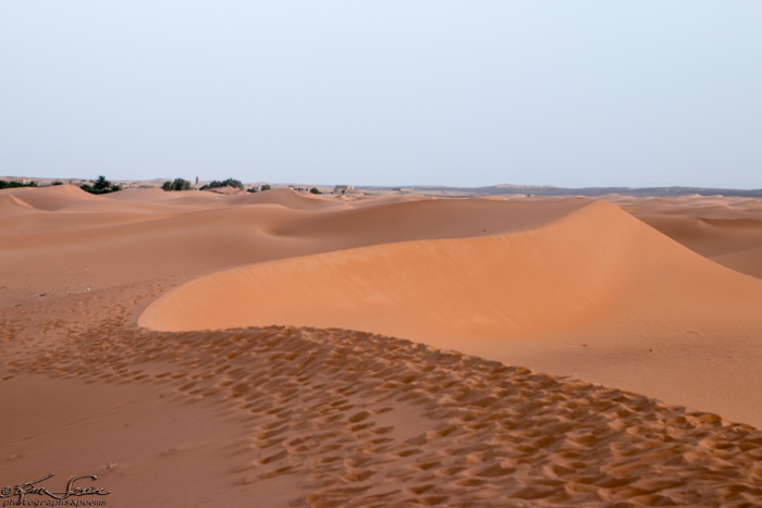 Morocco 9-15 to 17-2014, Morocco 9-15 to 9-17-2014, Sahara near Merzouga: More views of the sand patterns.