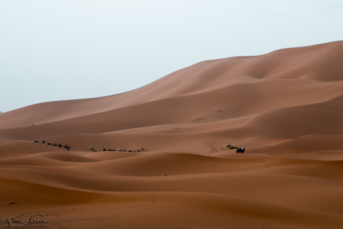 Morocco 9-15 to 17-2014, Morocco 9-15 to 9-17-2014, Sahara near Merzouga: We are not at all alone waiting for the sunrise.
