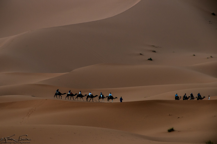 Morocco 9-15 to 17-2014, Morocco 9-15 to 9-17-2014, Sahara near Merzouga: This group is giving up on the sunrise again.
