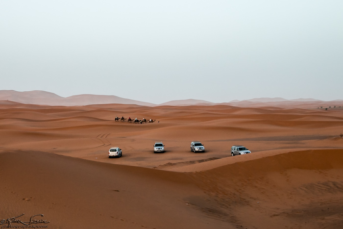 Morocco 9-15 to 17-2014, Morocco 9-15 to 9-17-2014, Sahara near Merzouga: Old and New:  The 4x4s usually stop at the edge of the black rocks.  Here they seem to have come closer.