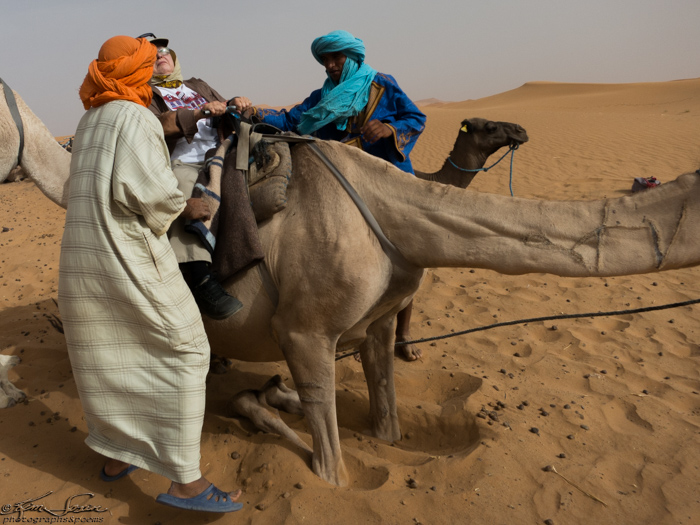 Morocco 9-15 to 17-2014, Morocco 9-15 to 9-17-2014, Sahara near Merzouga: Step two, hold on!  OMG, watch that first lurch!