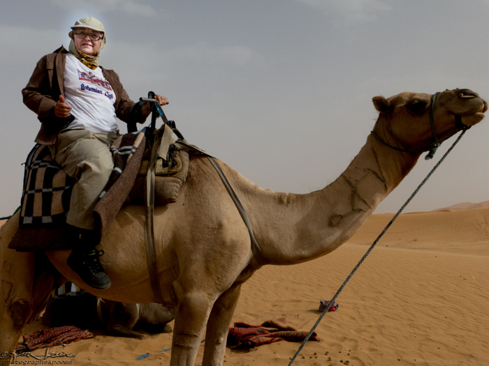 Morocco 9-15 to 17-2014, Morocco 9-15 to 9-17-2014, Sahara near Merzouga: J shows off her Omaha Bohemian Cafe tee shirt.  The camel laughs!