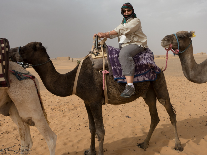 Morocco 9-15 to 17-2014, Morocco 9-15 to 9-17-2014, Sahara near Merzouga: K sits a fine camel, yes?