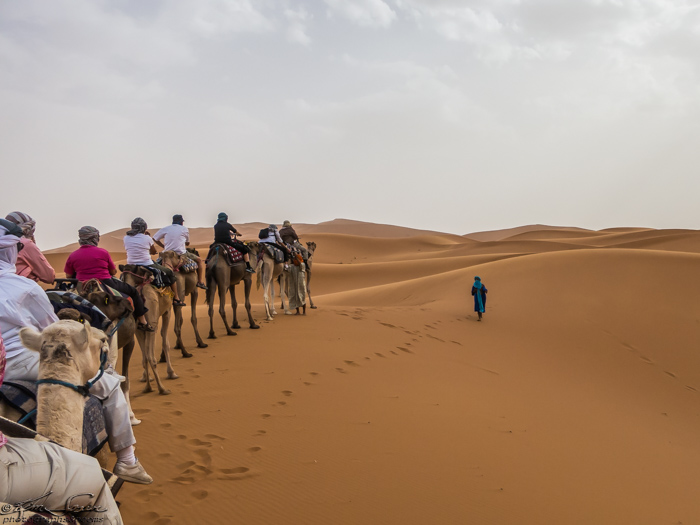 Morocco 9-15 to 17-2014, Morocco 9-15 to 9-17-2014, Sahara near Merzouga: The desert is so imposing ...