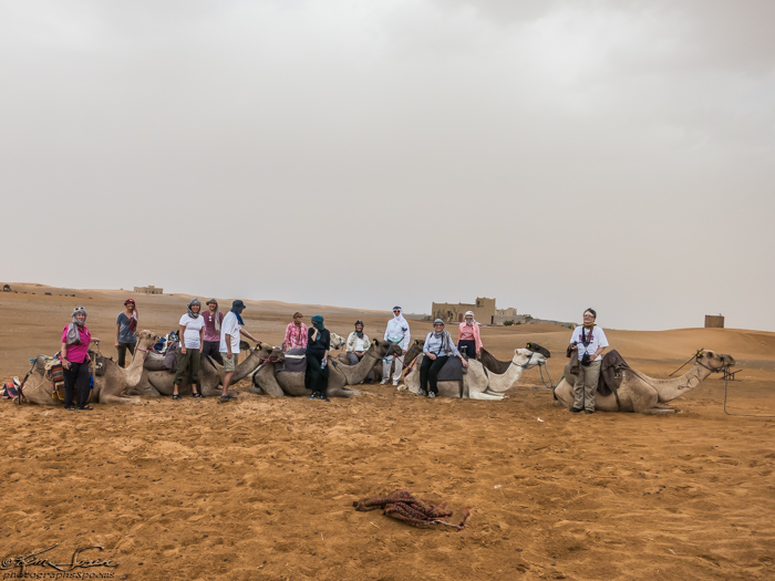 Morocco 9-15 to 17-2014, Morocco 9-15 to 9-17-2014, Sahara near Merzouga: The rain is very short and no evidence remains.  We pose with our camels one last time.