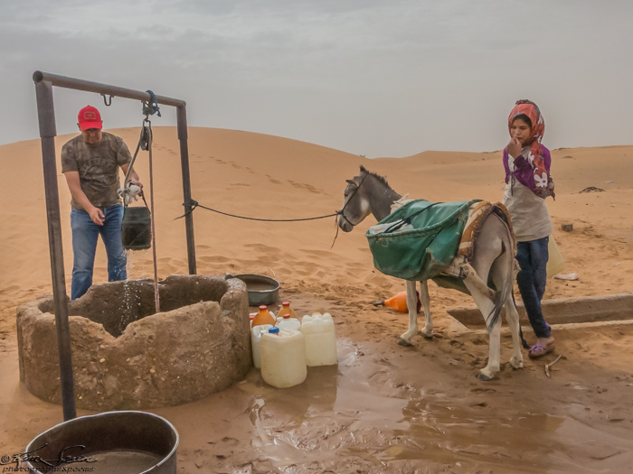 Morocco 9-15 to 17-2014, Morocco 9-15 to 9-17-2014, Sahara near Merzouga: The water table is only about 45 feet below this dry desert.