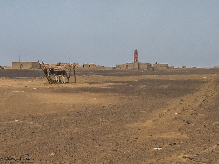 Morocco 9-15 to 17-2014, Morocco 9-15 to 9-17-2014, Sahara near Merzouga: Meet you at the kasbah.