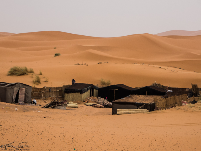 Morocco 9-15 to 17-2014, Morocco 9-15 to 9-17-2014, Sahara near Merzouga: Black tents behind the Kasbah.