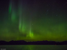 Better camera settings than last night, but the Auroras were very brief.  One good photo!