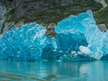 8/28/16, Holkum Bay: Tracy Arm, floating ice  from Dawes Glacier, gorgeous islands of blue ice.
