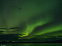 8/31/16, heading towards Glacier Bay: Amazing Auroras