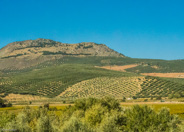 Seville to Granada-And so many more olive trees!