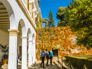 Granada-Alhambra courtyard gardens.