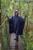 Rainforest:  Craig on the forest canopy walkway