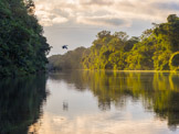 Peruvian Amazon Region, a heron flies into the sunset.