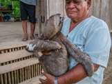 Peruvian Amazon Region, one of our guys has a chat with the sloth.