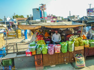 Jaipur to Ranthambhore: often the stands have lovely fruit and vegetables for sale.