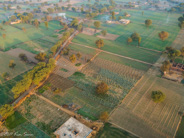 Jaipur: Balloon Ride over the countryside - never found out what those dividing lines meant.