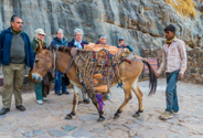 Ranthambhore game drive:  donkeys carrying bricks.