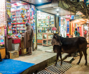 Varanasi:  We rode back in the bicycle rickshaws.  I have vidoes and also took some photos. At one point we saw a cow happily stretched out in the aisle of a store.