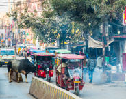 Varanasi: Does he really expect to cross that street?
