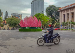 Arrived in Hanoi and immediately learned the importance of the Lotus blossom - and the motor scooter!