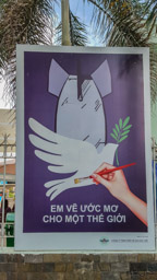 The war/peace posters interested me.