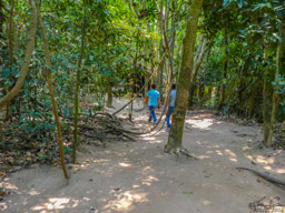 The area now looks like this, cleaned up forest.  The guide said they think they found all of the land mines, but they suggest we stay on the paths.  WE DID!