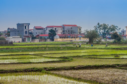 Workers in the rice paddies.  Some nice structures in the background.