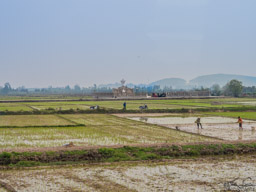 Planting rice.  Notice the cemetery in the rice paddie - we saw many cases of graves in the middle of a rice paddy.