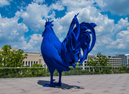 National Gallery of Art:  Hahn/Cock, a large blue rooster, watches the city.