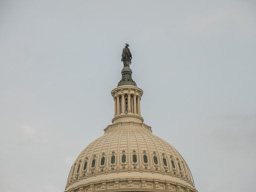 Statue of Freedom on top of the Capitol Building.