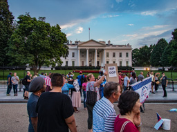 A few protesters and the White House.