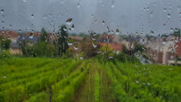 Impressionist view (I just focused on the raindrops on the window).