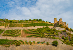 Same castle from a different angle showing all of the wine grapes being cultivated on the slopes.