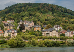 A few more of the houses on the opposite side of the Neckar.