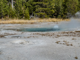 Steaming water hole that bubbles with rising water.