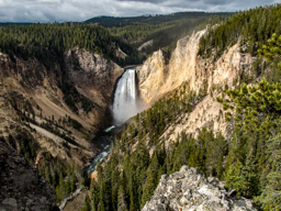 Yellowstone Falls!