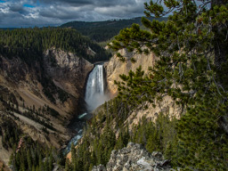 One more of Yellowstone Lower Falls.