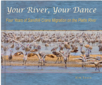 Your River Your Dance