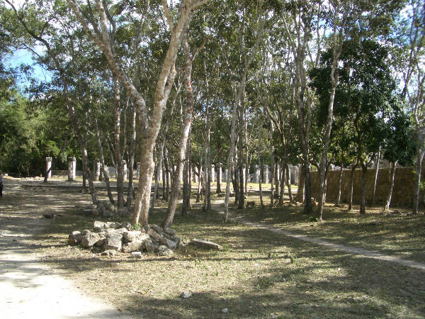 22chichenitza25.jpg  (104.9 Kb)