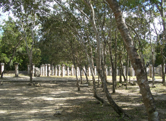 22chichenitza26.jpg  (83.5 Kb)