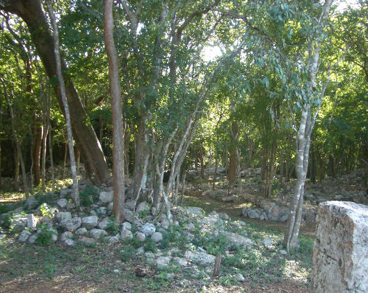 23labna10.jpg  (84.5 Kb)