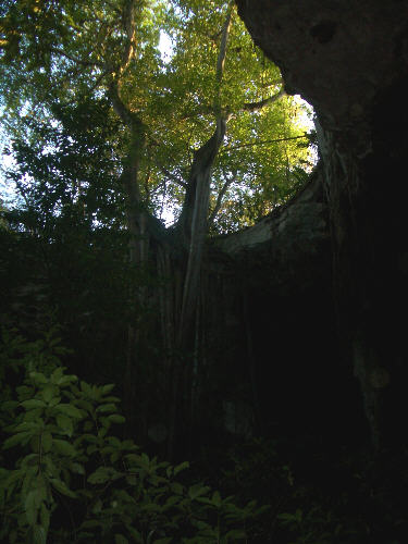 23loltuncave8.jpg  (39.8 Kb)